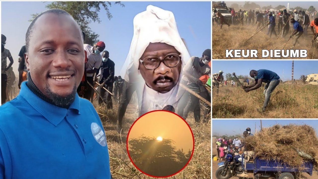 En Direct : Nettoyage de Keur DIEUMB Wadial le Grand Rendez-vous Dimanche le 18 Janvier 2026