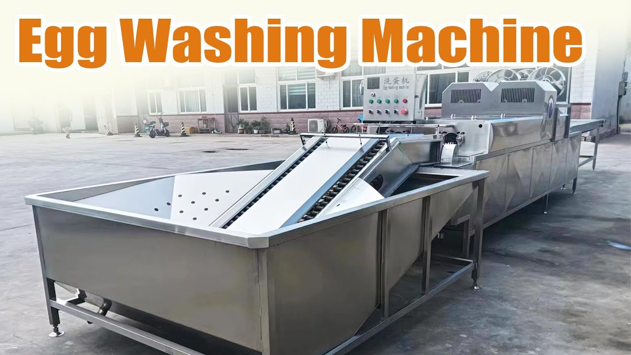 Egg Washer Machine Price & Details | Professional Egg Processing Equipment #egg #washing #cleaning