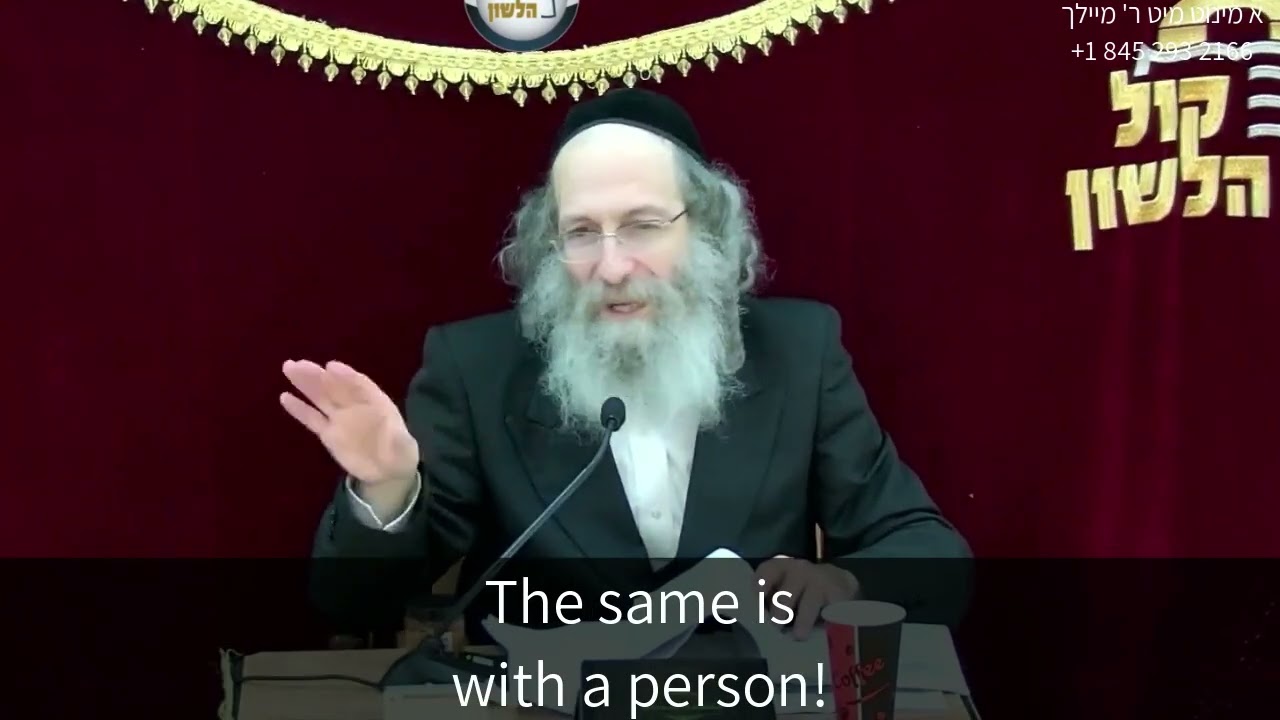 Sharing Torah that even the animas know wisdom! Know everything is from Hashem and anyone can become