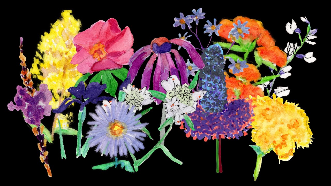 Did you know you can have a pollinator garden in your own yard?