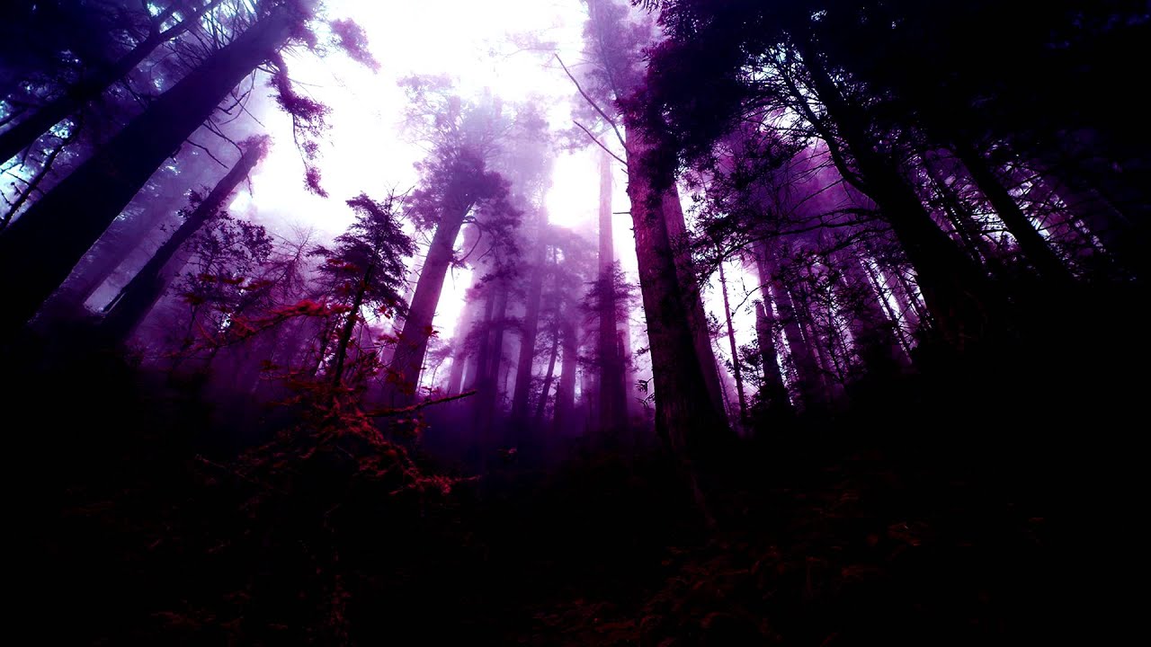 &Oslash;fdream - Indicate