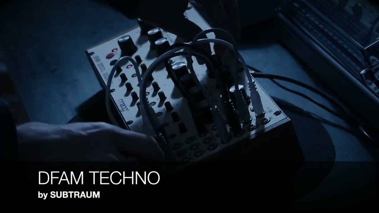 TECHNO Moog DFAM (only)