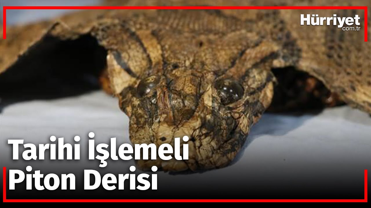 Ortaçağ'dan Kalma ve 4 Metre Uzunluğunda...