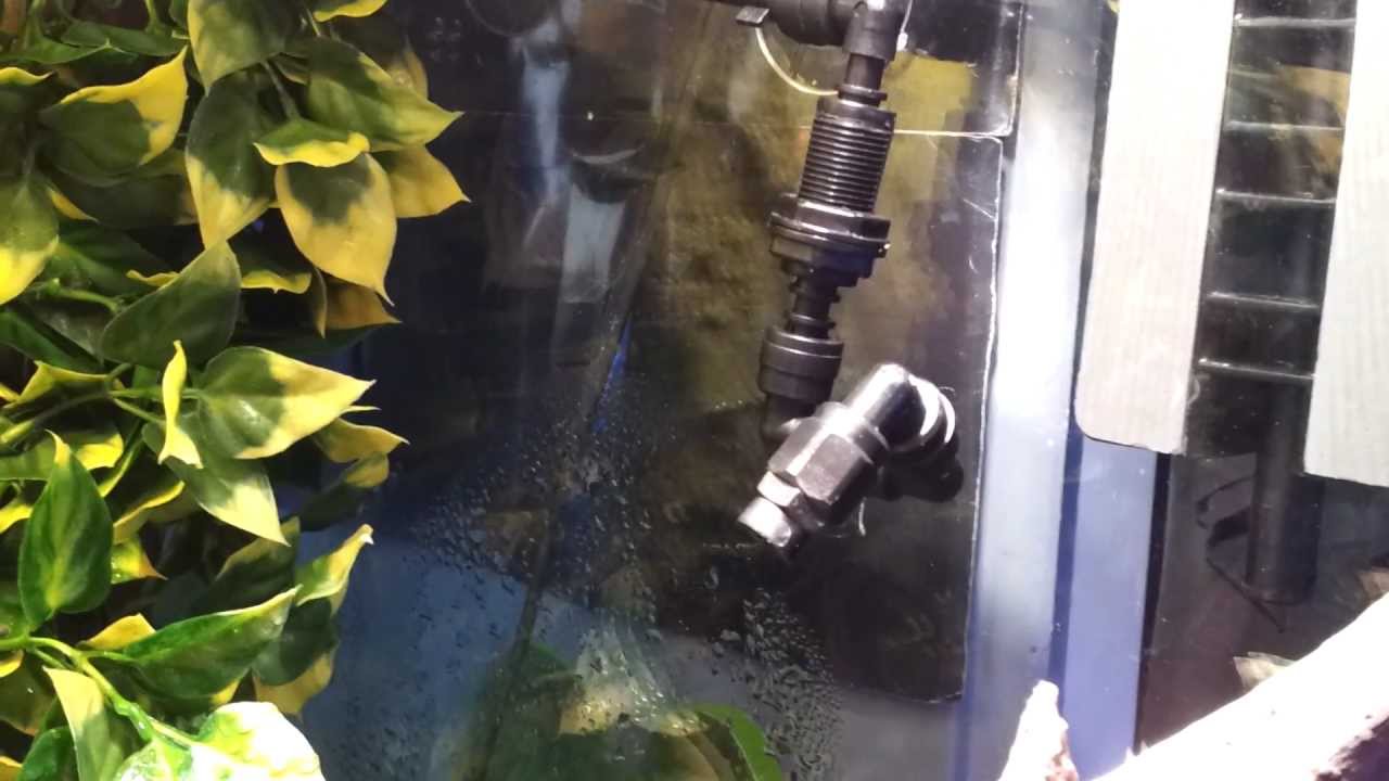 Exo-Terra Monsoon rainfall system vs Mistking misting system