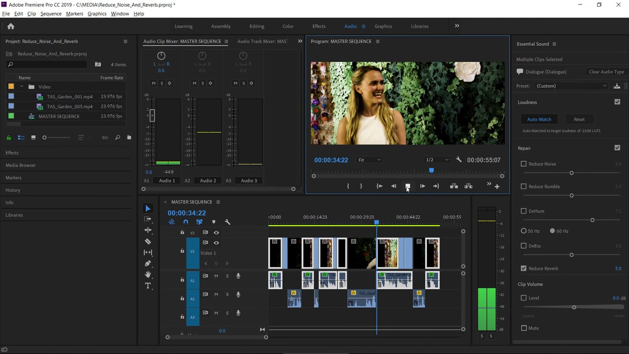 Adobe Premiere   Reduce noise and reverb