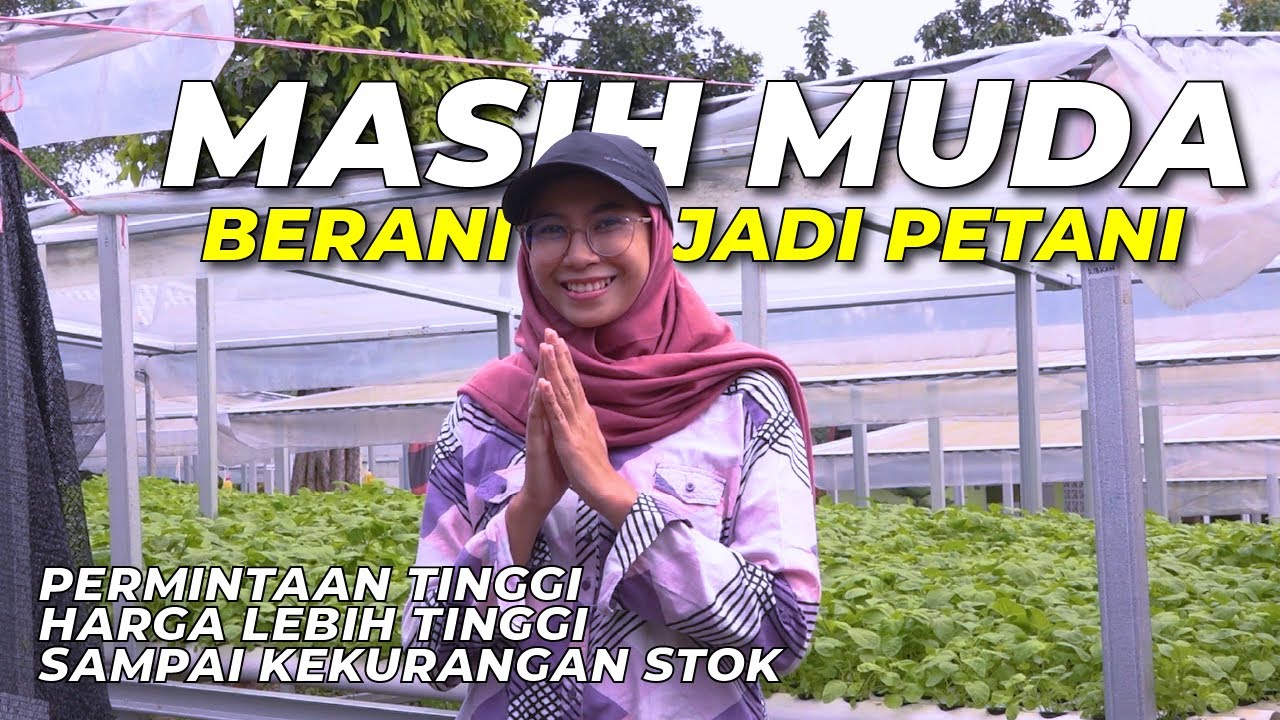 Prospek Usaha Budidaya Sayuran Hidroponik ‼️