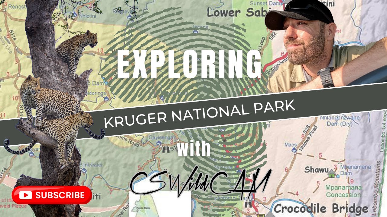 Kruger National Park | Exploring Crocodile Bridge S28 for Lion, Leopard and more!