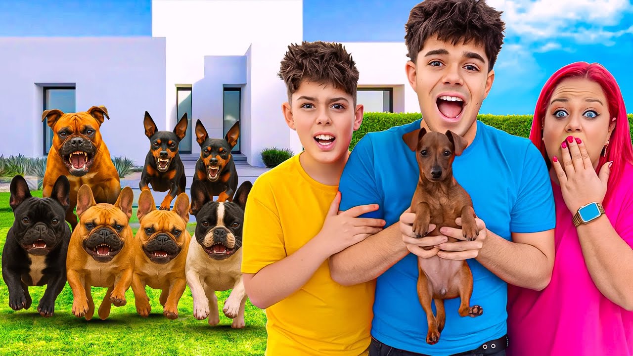 Nuestra NUEVA MASCOTA CONOCE a TODOS NUESTROS PERROS!! Mala Idea