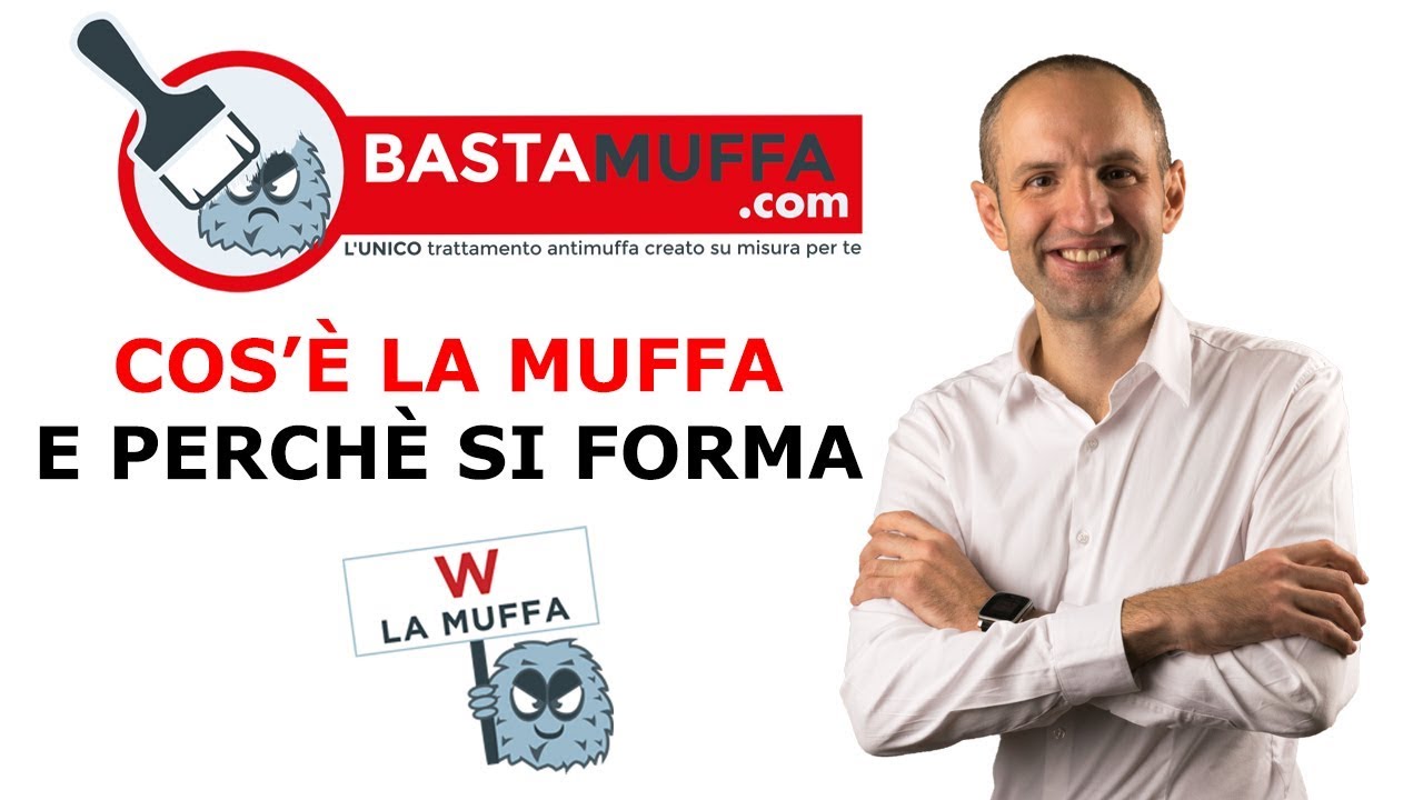 Cos'&egrave; la muffa e perch&eacute; si forma?