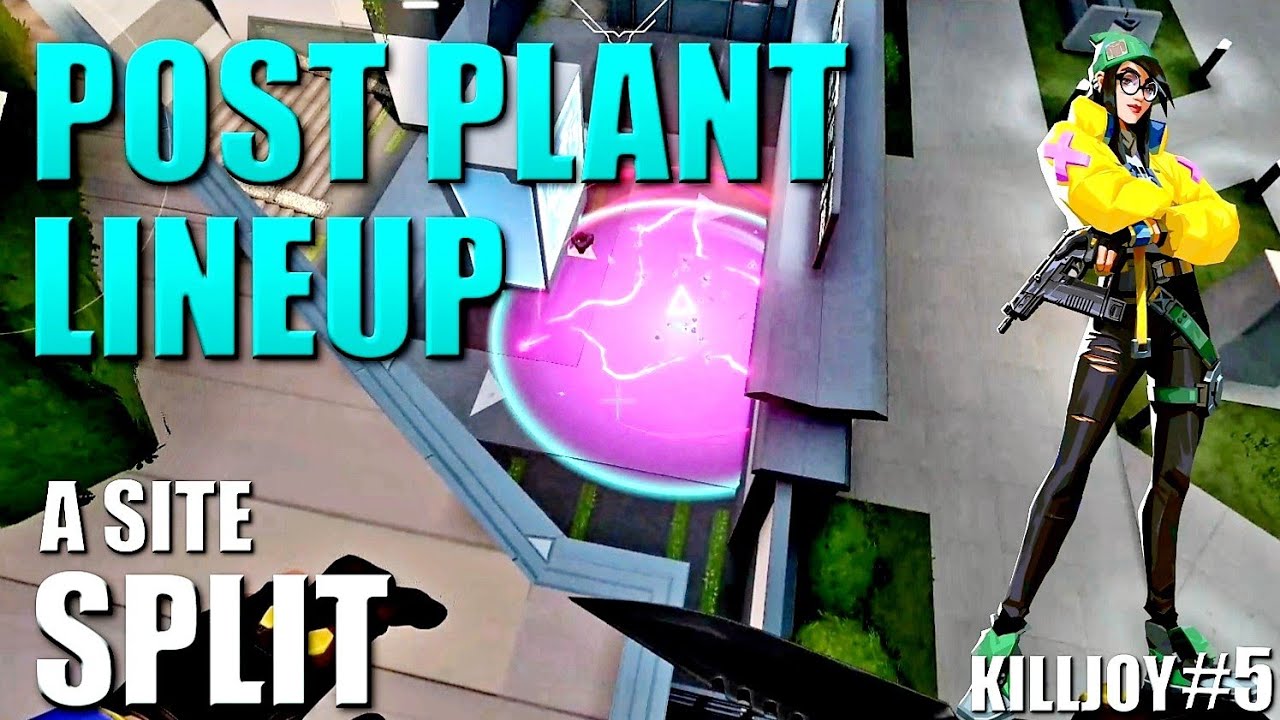 KILLJOY LINEUPS - SPLIT - Post Plant Molly Nanoswarm Setups #5 - A Site - Default