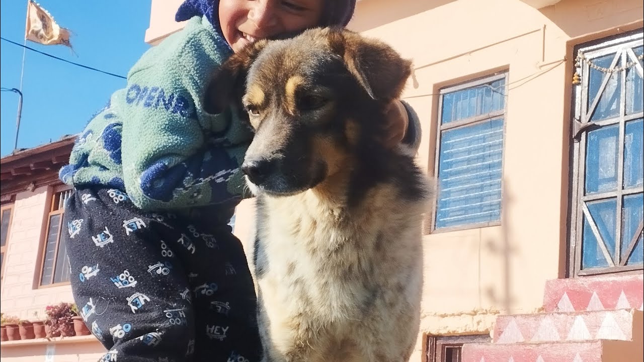 #आज आये हमारे घर में मेहमाn# @neemarautela#vlog#vlog#vlog#