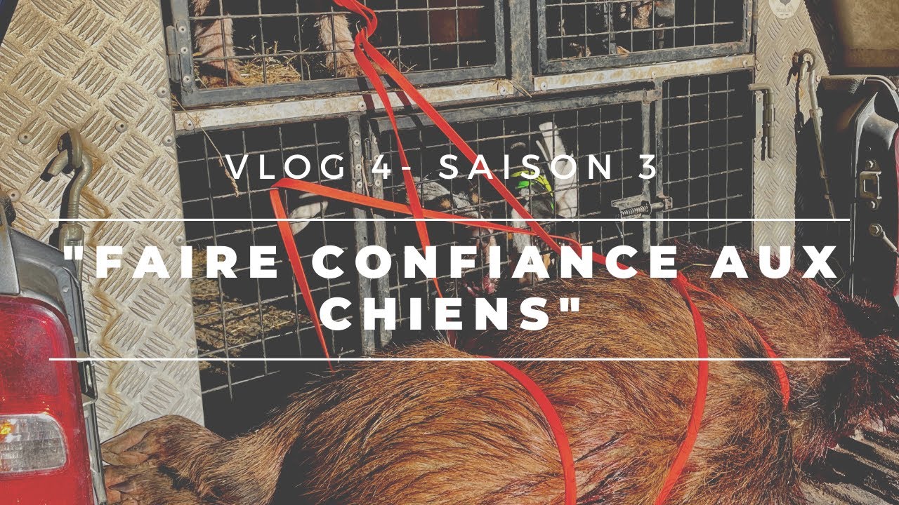 Vlog 4  : "Faire confiance aux chiens"