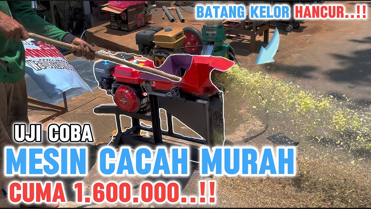 Test kekuatan MESIN CACAH MURAH untuk mengahancurkan batang kelor..!! Apakah bisa..??
