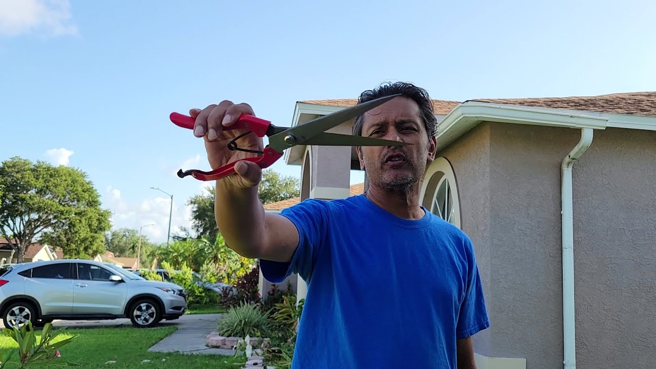 New topiary shears from Amazon.