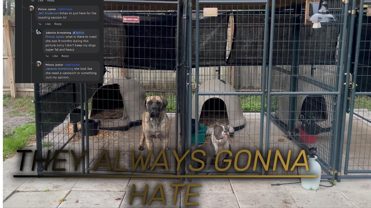 LET THE HATERS HATE IN 2026