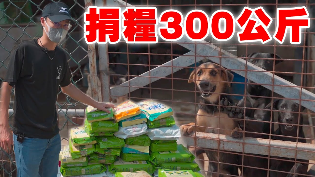 英雄神支援 - 緊急調度300公斤 橫掃貨架的狗狗支援企劃！