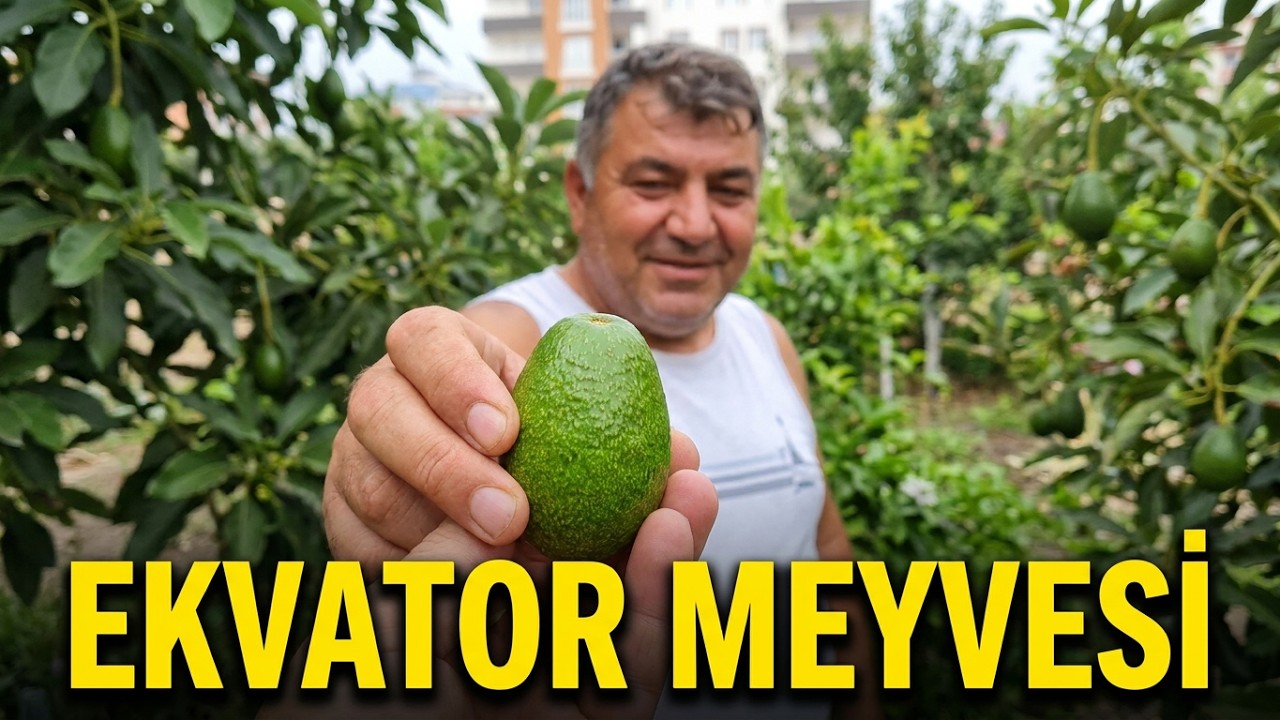 Hobi Meyve Bahçesi / Ekvatör Bitkilerini Yetiştirmiş