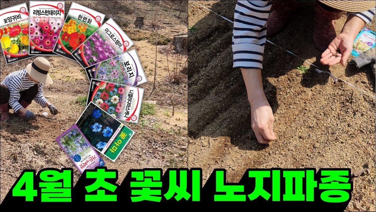 4월 초 꽃씨 노지파종 | 강원도 정원