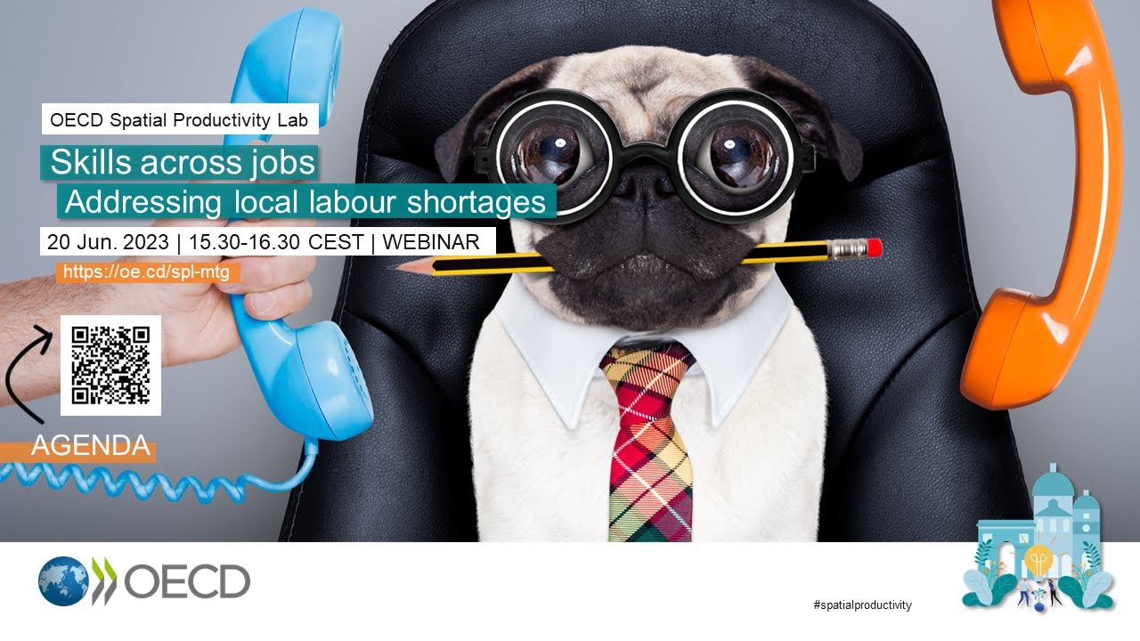 OECD Webinar: Skills across jobs - Addressing local labour shortages