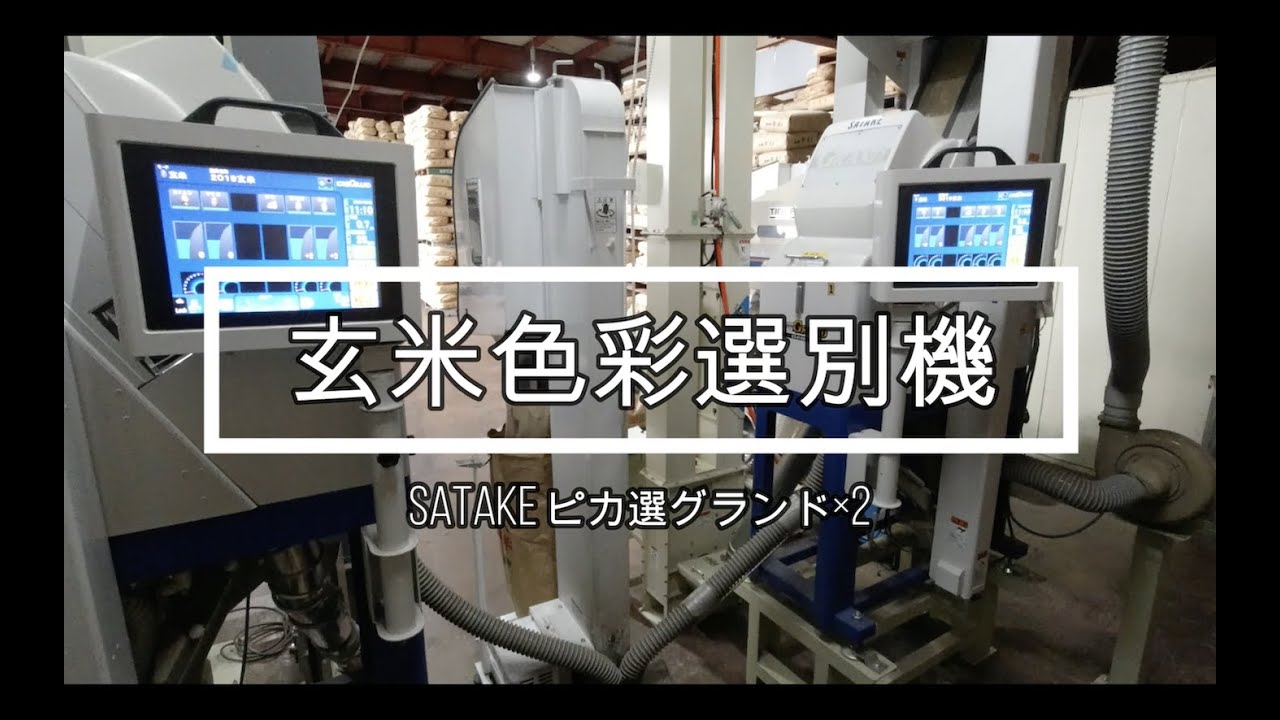 色彩選別機（色選）を導入するならこれ　サタケピカ選グランド2台同時使用でどんな米でも綺麗にする　The Rice color sorting machine is cool.