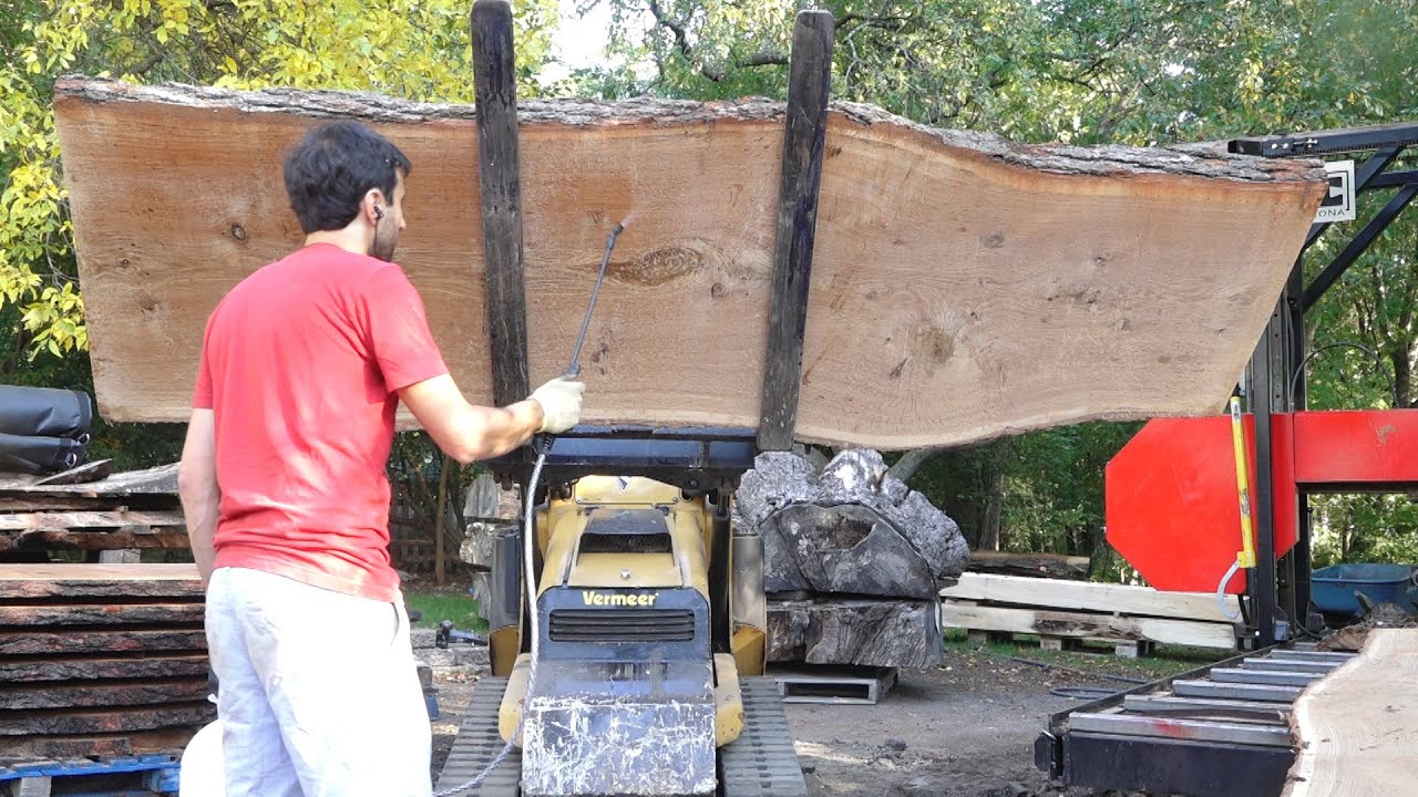 Slabs of Wormy White Oak [with actual worms]