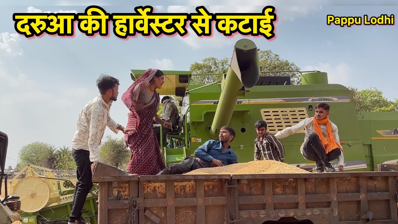 दरुआ की हार्वेस्टर से कटाई !! Bundeli comedy !! Pappu ki comedy !! Total ki comedy !! 