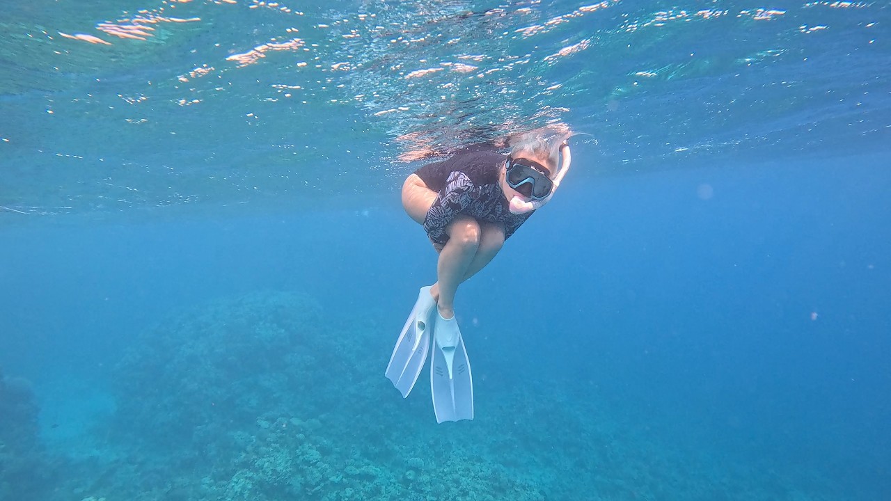 Carp EDM - I M M E R S I O₂+N₂ Intro [El Fanar Snorkeling]