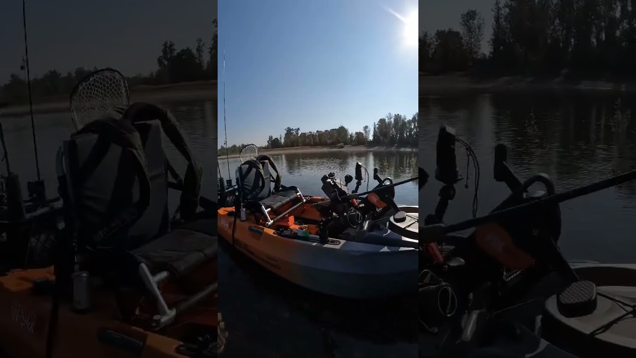 Great day on the river carp fishing #shorts #fishing #kayakfishing #oldtown #pdl