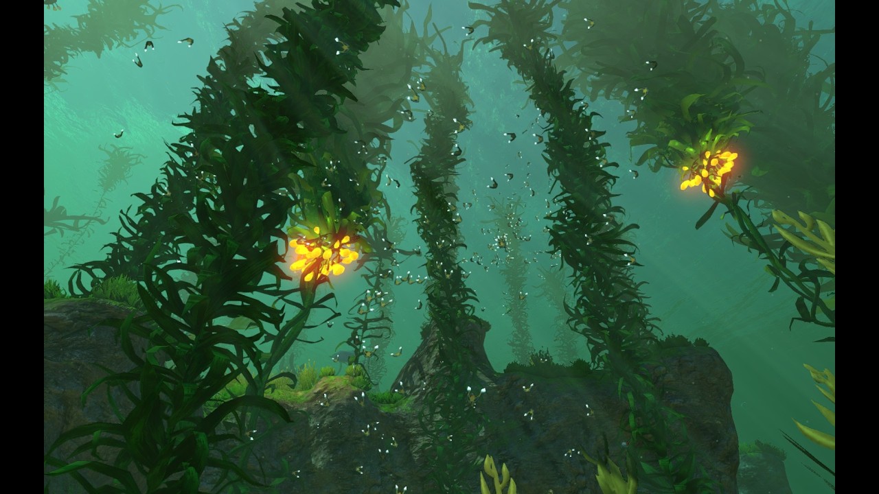 I GOT AN SUBMARINE subnautica episode 2