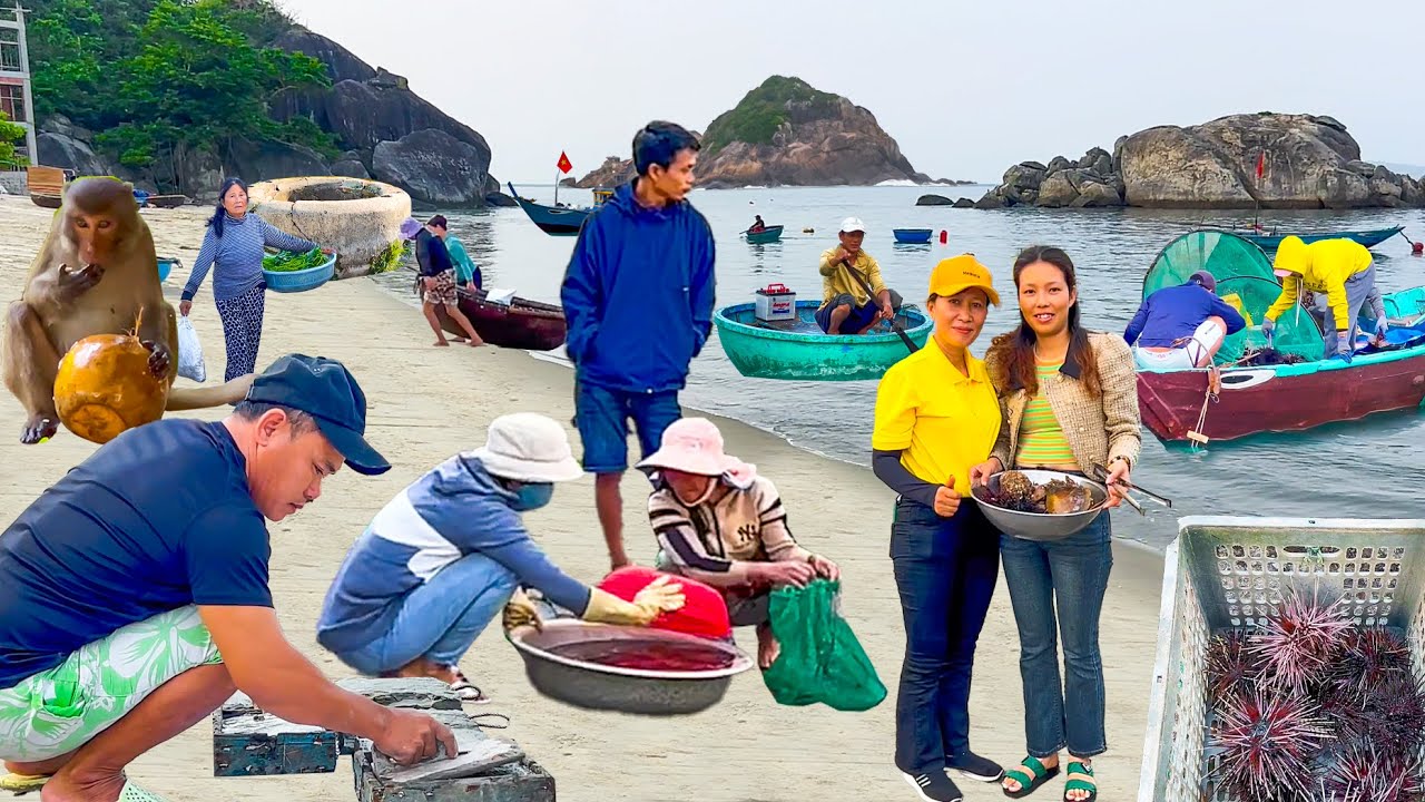 Cù Lao Chàm Hòn Đảo Còn Nhiều Cá Nhất Bảo Từng Biết,Đặc Sản Nhím Biển Của Xứ Đảo