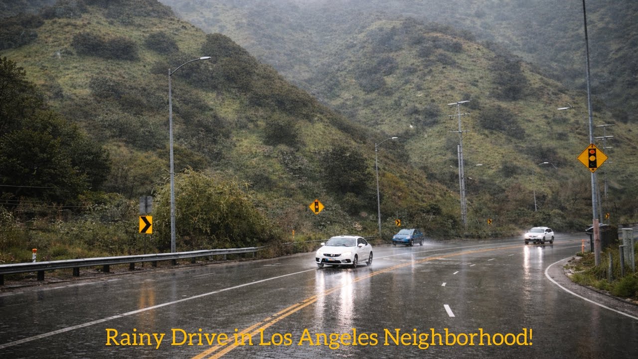 American Neighborhood | Rainy Drive in Los Angeles neighborhood #california #losangeles #nature 