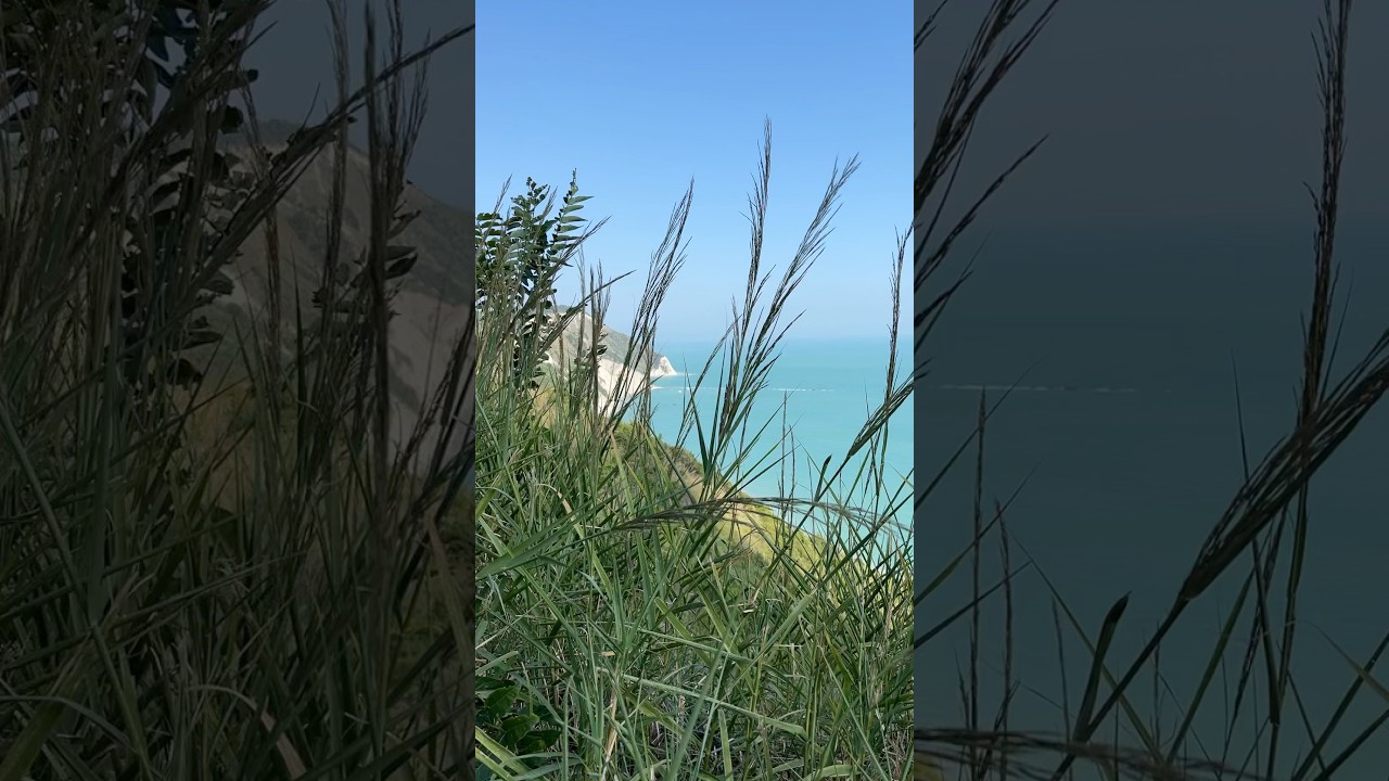 Somewhere in 📍Marche🇮🇹 #travel #italy #italytravel #sea #marche #visititaly #visitmarche #nature