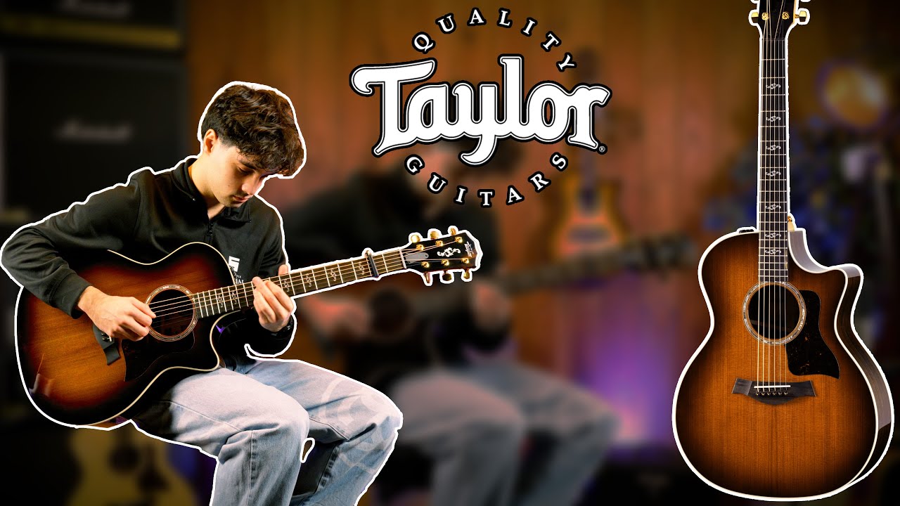 Taylor 414ce 50th Anniversary SE DEMO | Souman Music