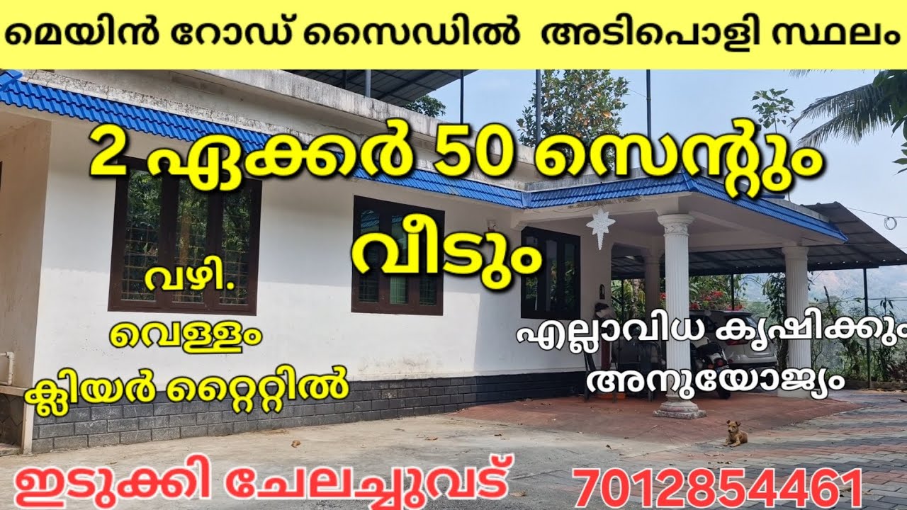 മെയിൻ റോഡ് സൈഡിൽ 2 ഏക്കർ 50 സെന്റും വീടും. റബ്ബർ കൊക്കോ കുരുമുളക്. ഇടുക്കി ചേലച്ചുവട്👇👇