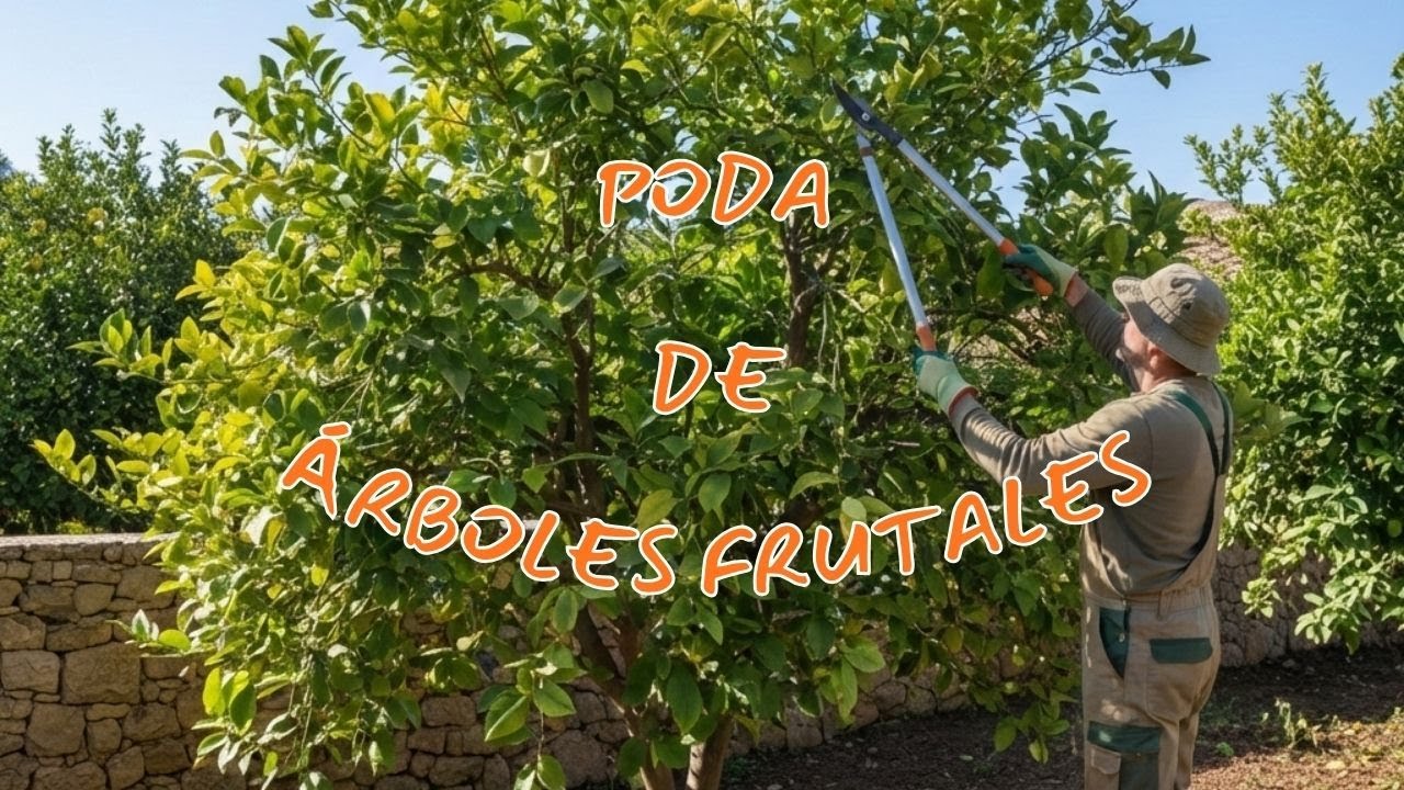 Poda de árboles frutales
