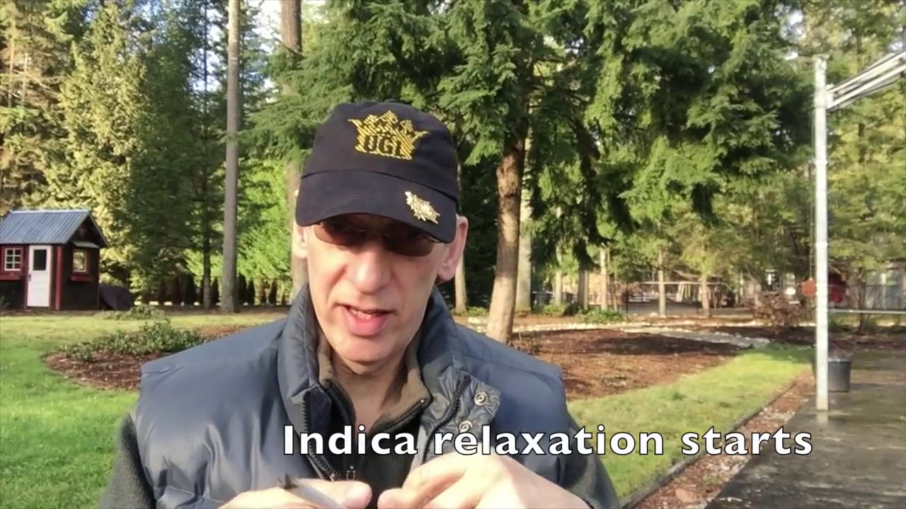 AK 47 Marijuana Strain Review