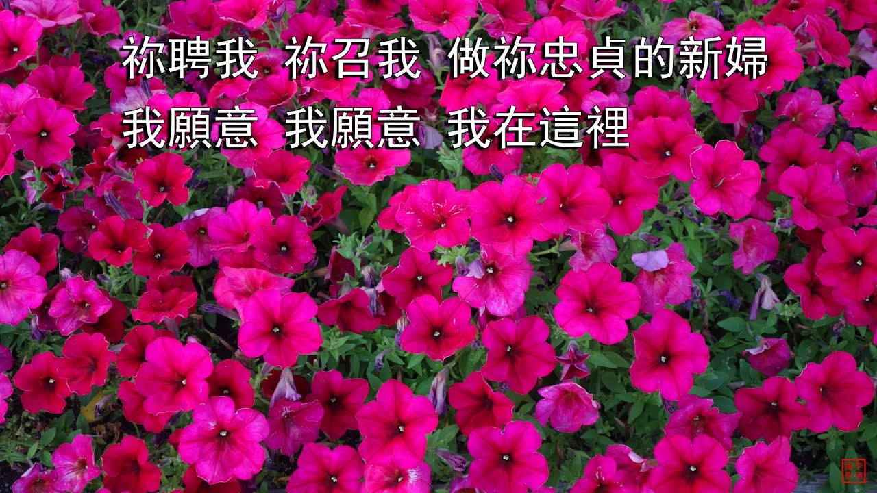 那一天 | C&rarr;D調 | 78bpm | 小羊詩歌《一粒麥子》專輯