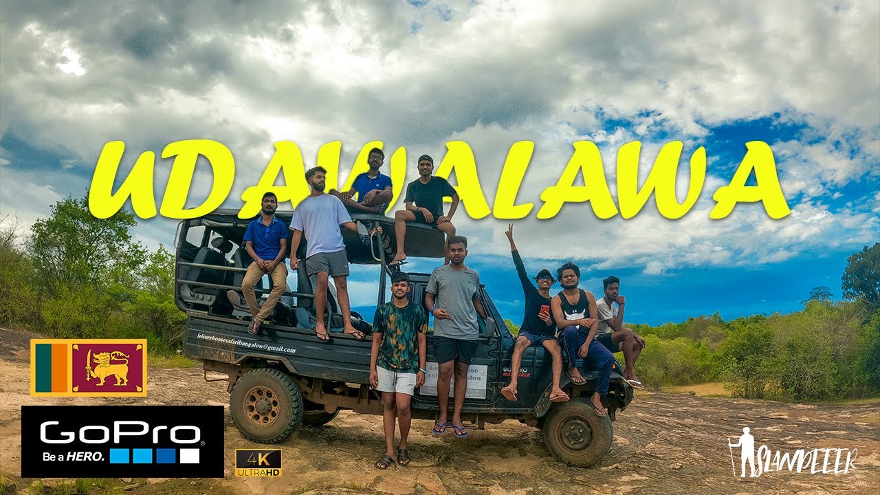 Udawalawe safari |  Sri Lankan Wild Life | උඩවලවේ අලි |  Hasthi safari cottage | Day 01 | 🐘🇱🇰 | 4K