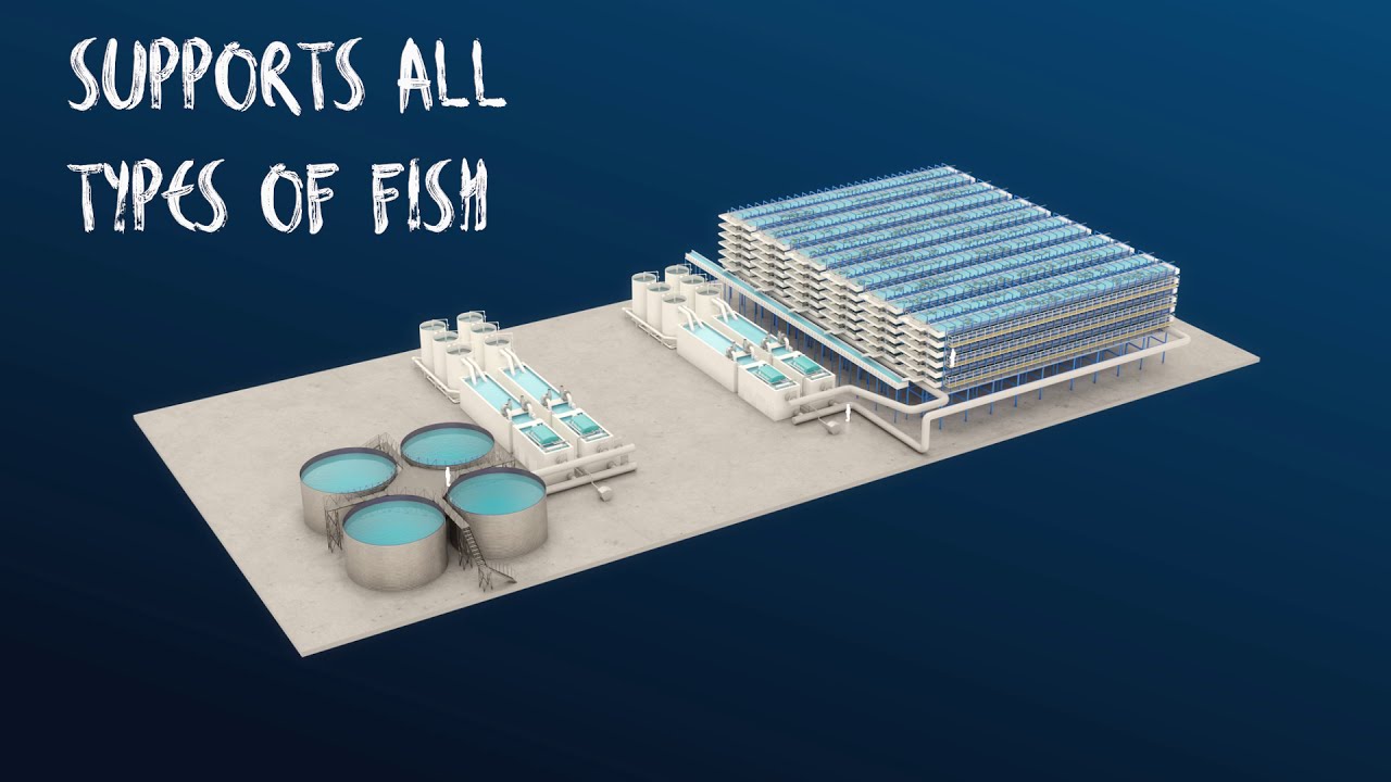 Blugen & Alpha Aqua - flat fish farming Solutions