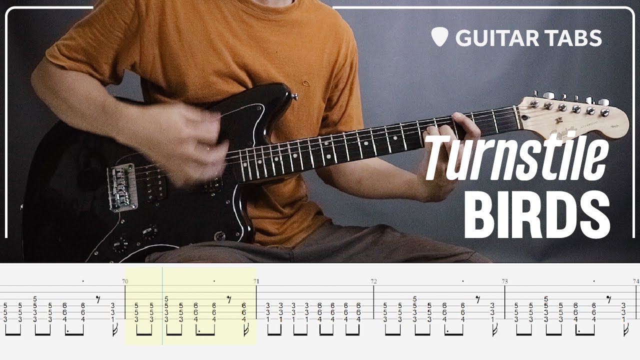 Turnstile - Birds | Guitar Cover with Guitar Tabs | Standard E