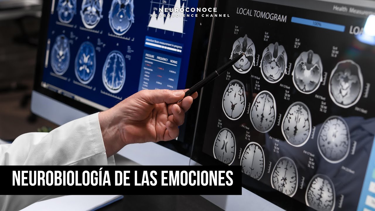 Neurobiolog&iacute;a de las emociones: Explorando las EMOCIONES humanas desde un enfoque neurocient&iacute;fico.