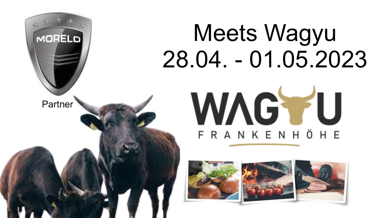 Wagyu Rinder und das MORELO Treffen „Meets Wagyu“ vom 28.04.-01.05.23 in Oberdachstetten / womoclick