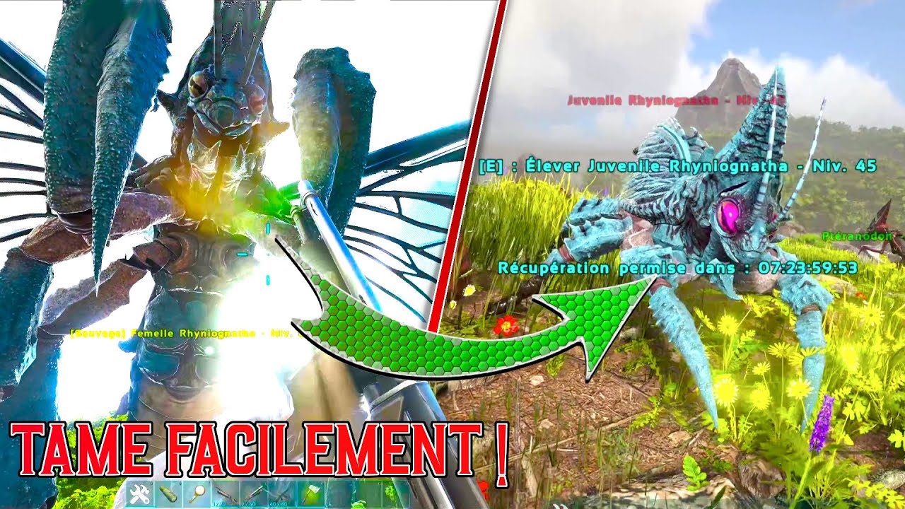 COMMENT TAME FACILEMENT LE RHYNIOGNATHA SUR ARK !! (+ASTUCES ET INFOS)