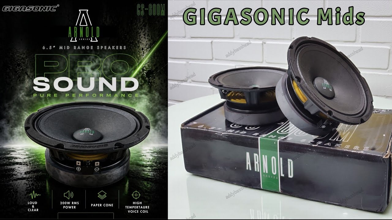 Unboxing GIGASONIC 200 rms midrange speakers, great built quality with international standards.