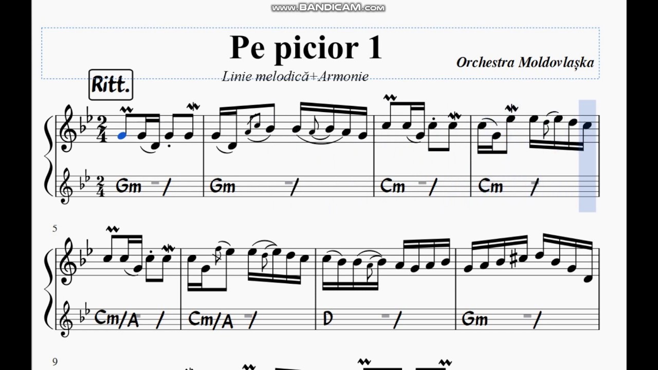 DE PICIOR- Linie melodica + Armonie