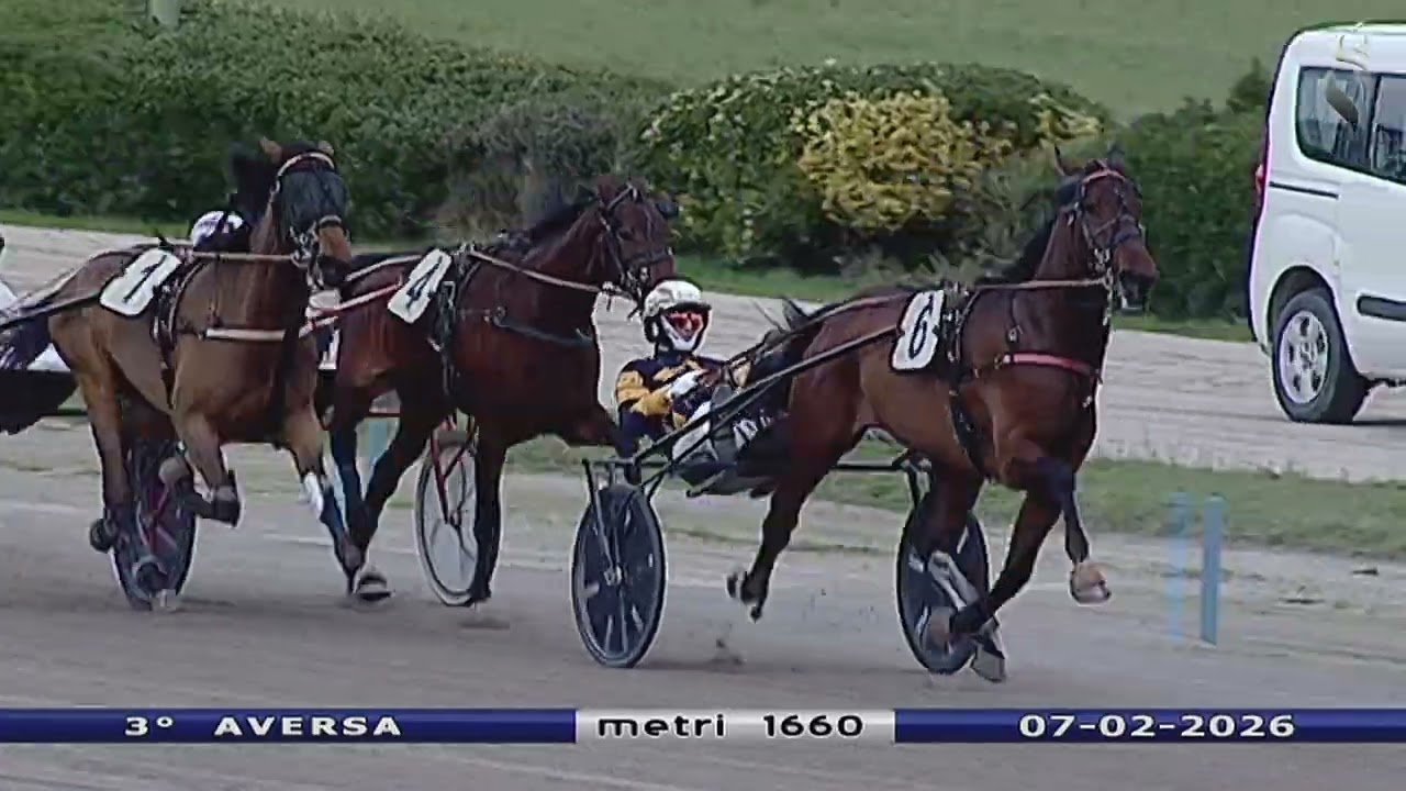 Aversa trotto 7 Febbraio 2026 - 3° Corsa
