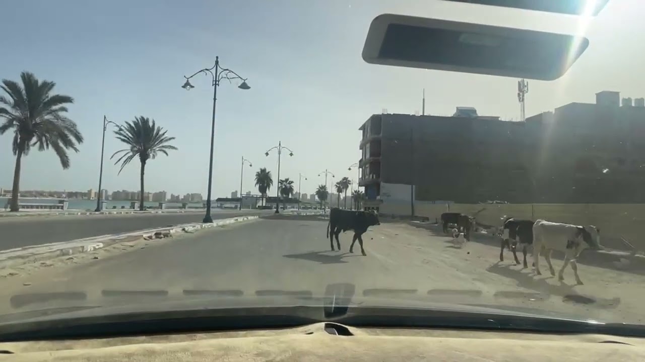 يا تري وصلنا لحد فين بالتطوير فى مطروح يله بينا نشوف