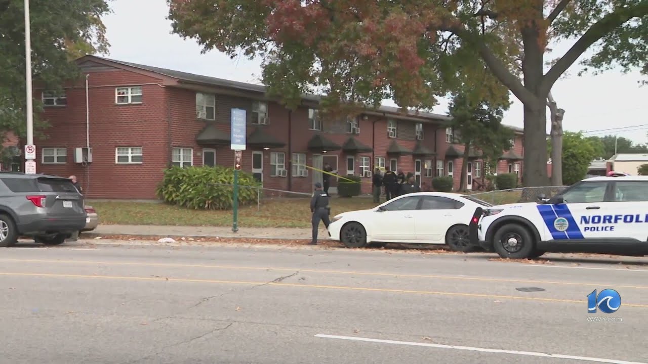 Woman dead on Brambleton Ave. in fatal stabbing