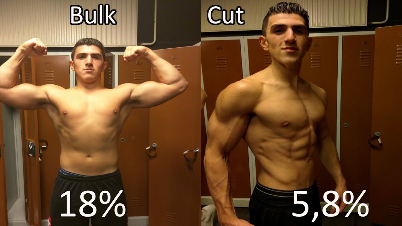 18 to 6% Bodyfat transformation | Bulk to Cut | Natural no Steroids