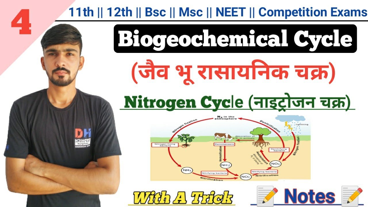 Nitrogen Cycle In Hindi || Biogeochemical Cycle || Environmental Biology || By Dadhich Sir
